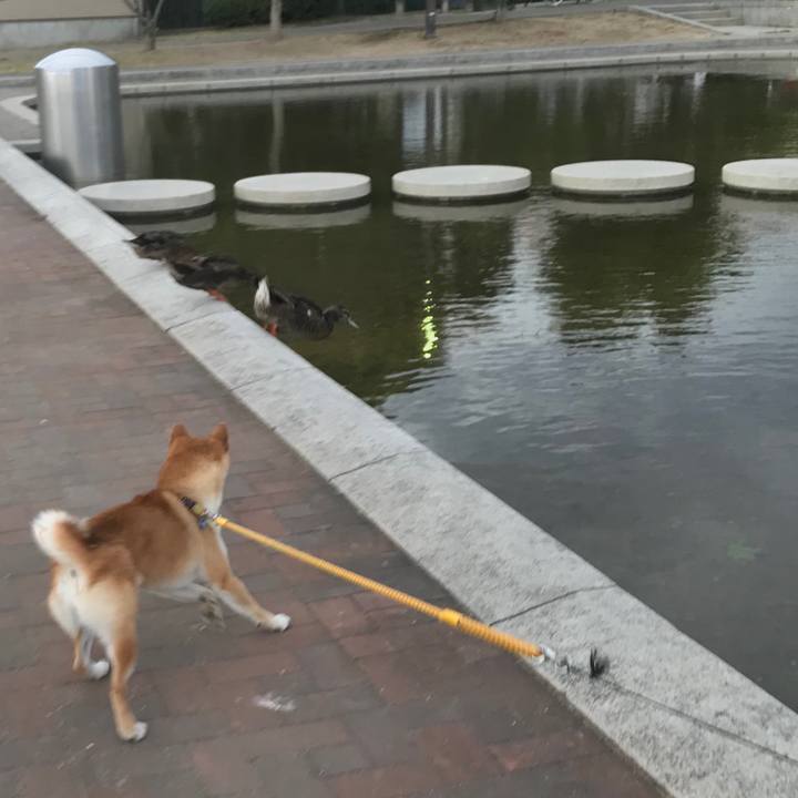 2b7aeddb 3b37 4c1a a392 02587672c2f1 1534210256411