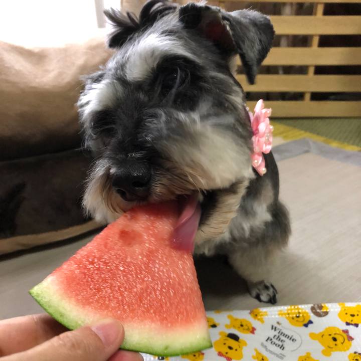 2b7b1fed 79d4 44a7 b7fc 7d9884f48fc5 1623763806464