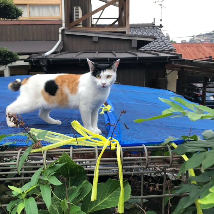 2b7bc253 35f2 4c60 b300 3cd95ded6e3c 1599561888610