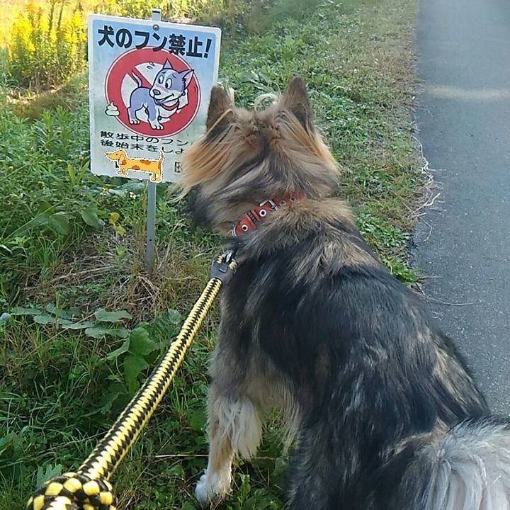 2b7bd18e 4fc4 4fe6 b384 c92eed308d81 1512634830402