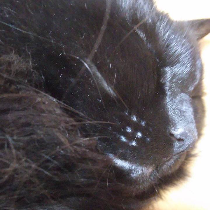 2b7bf102 cdea 4ba0 ad78 61fd862fe178 1511625103601