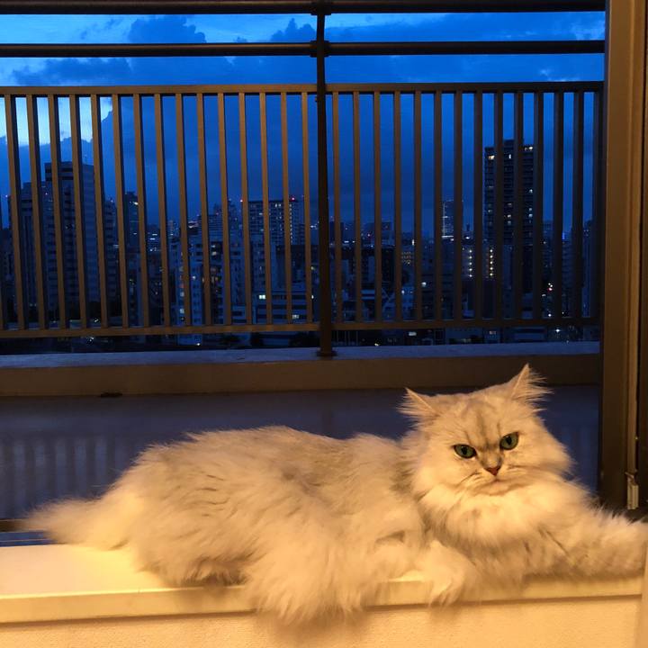 2b7bf783 d554 463e aba9 3647dd4c444a 1537779224958