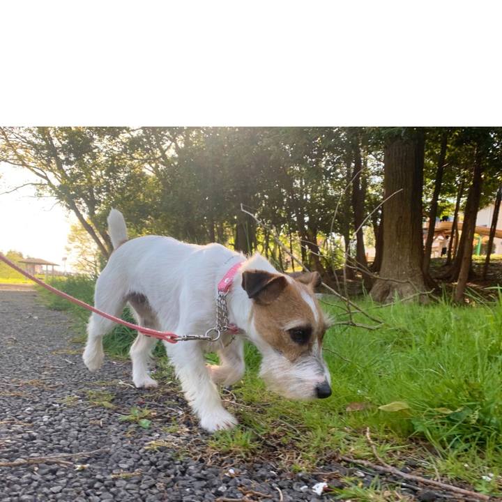 2b7c3ae9 c5b9 4580 a31c 9ae33e5778fb 1586848701608