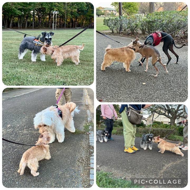 2b7c3e68 c17f 44d1 9ae1 0b08272357aa 1728768192952