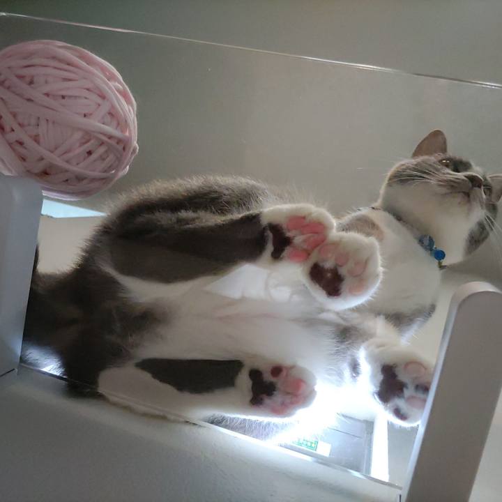 2b7c41a3 4bfe 4a1d a068 fffa054e4dd7 1665972022495