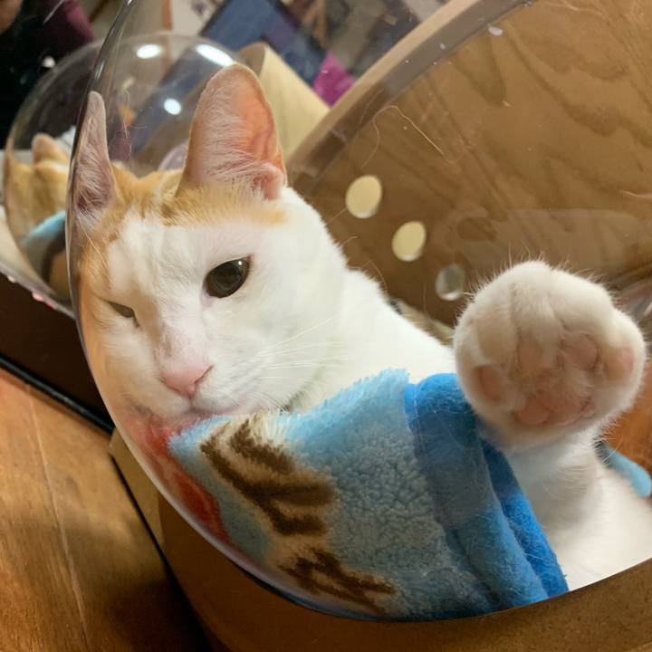 2b7c58e1 884a 481b a631 e8a4e8983f18 1581082309337