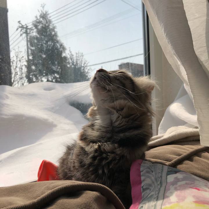 2b7c7324 254f 4492 b78c fe6c51944b3d 1520043217520