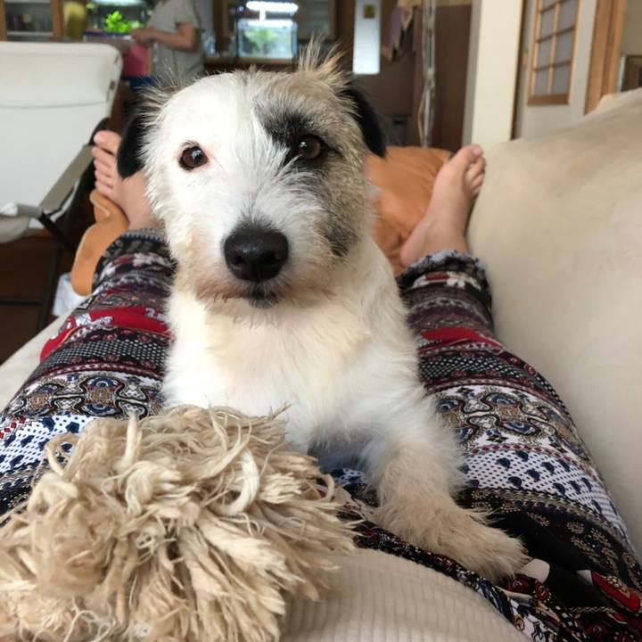 2b7c85f8 1e36 460d 9c11 a97c41a5f541 1564989009933