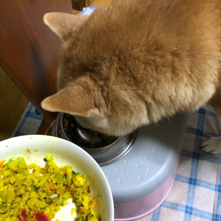 2b7c8a93 987c 4520 9056 26dccb3386b5 1582815332396