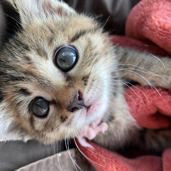 2b7ca576 3081 40bd ac3e 0558db30e476 1637625888059