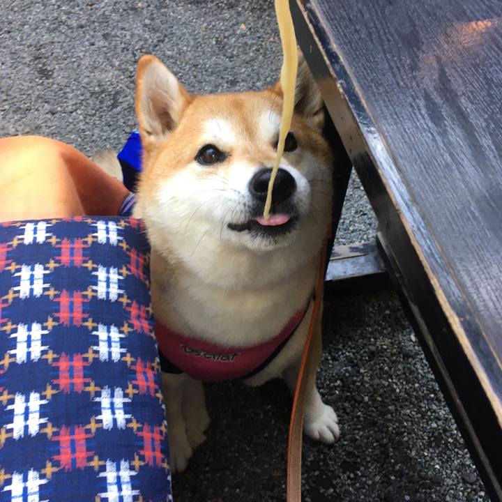 2b7ca8ee 6812 4991 bfd2 cf86842c8ad1 1573198545264