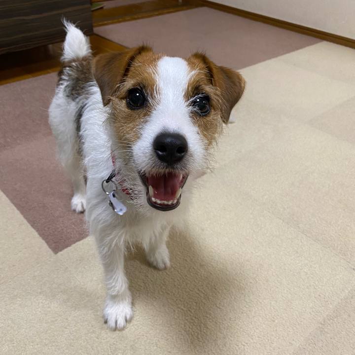 2b7cb2ad d27a 4a63 8287 aeb7bf21f8c2 1650113130125