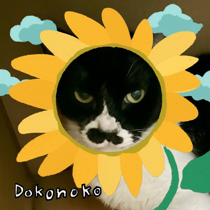 2b7cb53c 68c9 4b21 8ce5 12ef396359f1 1723247913095