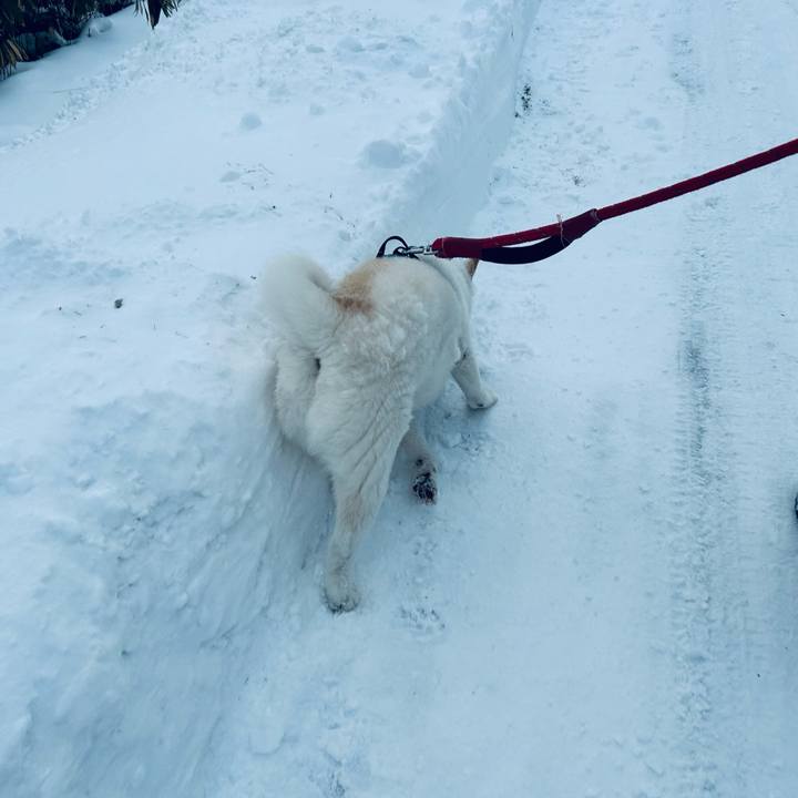 2b7cbc62 1b22 4c3e a701 7bec14bd2aa7 1733785307184