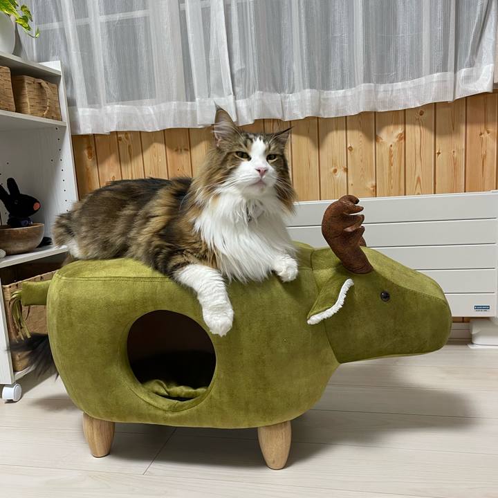 2b7cc2ea d1f3 492e a9df e43a49f0d800 1669029277687