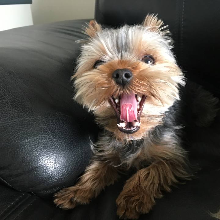 2b7ceb2b a378 402c 96eb 3006ade9ffa2 1551443581110