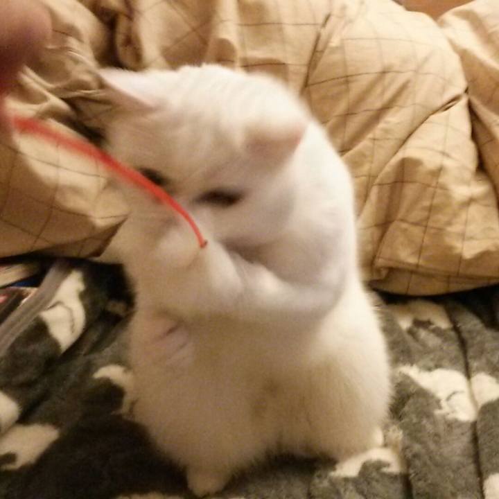 2b7cf5b4 885d 4703 9dad c7762b35252d 1517958492384