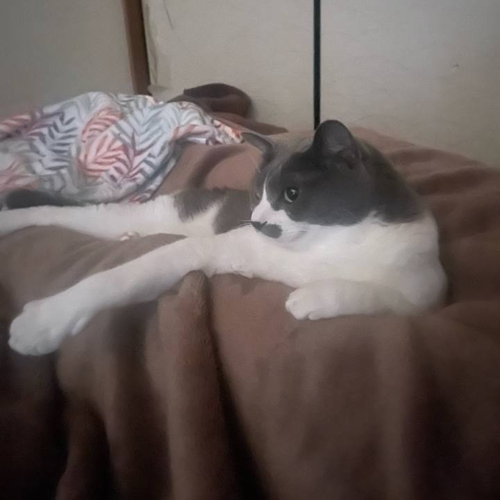 2b7cf792 b1af 47d4 bc02 54c0ce029a5a 1697839814575