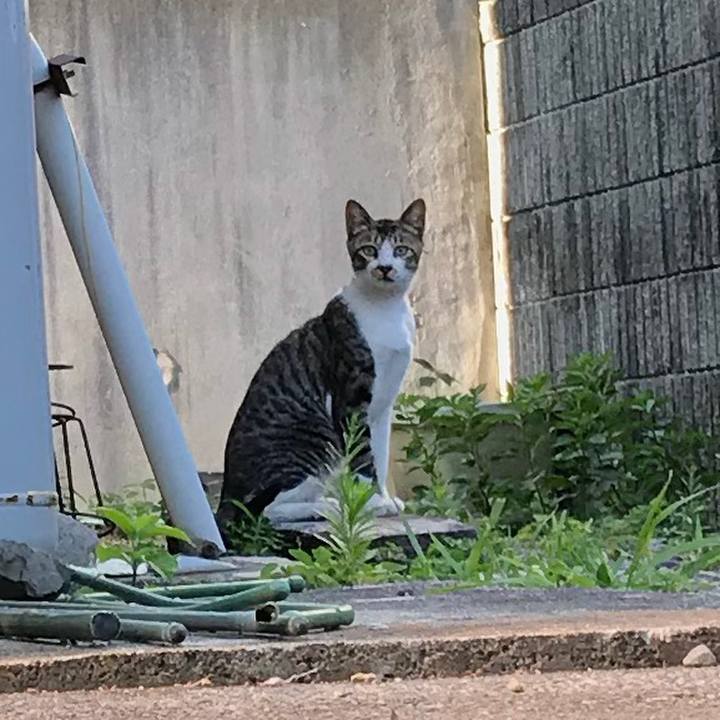 2b7d00a7 ab0c 4d2c 94e7 0512b2502132 1533308285596