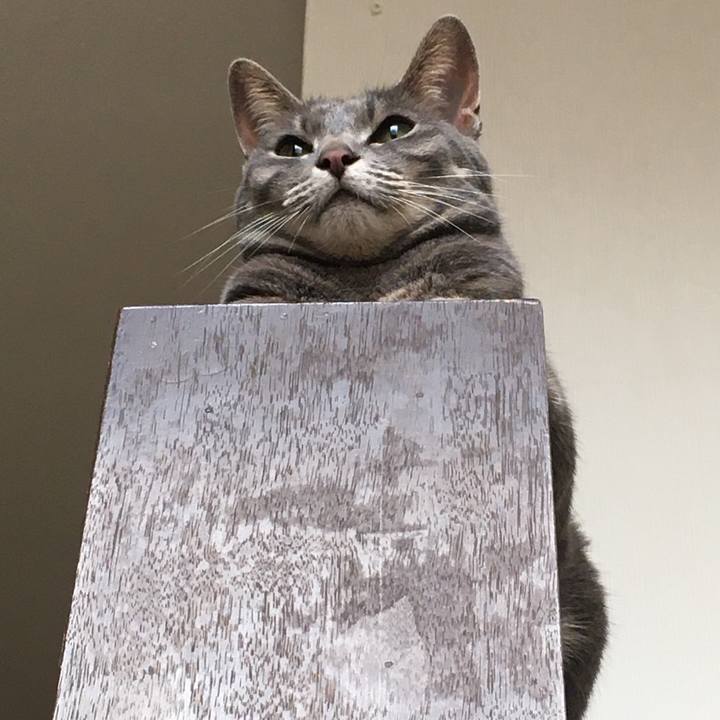 2b7d1e96 bba9 4e6d b97b 24ed31abee4e 1593824057317