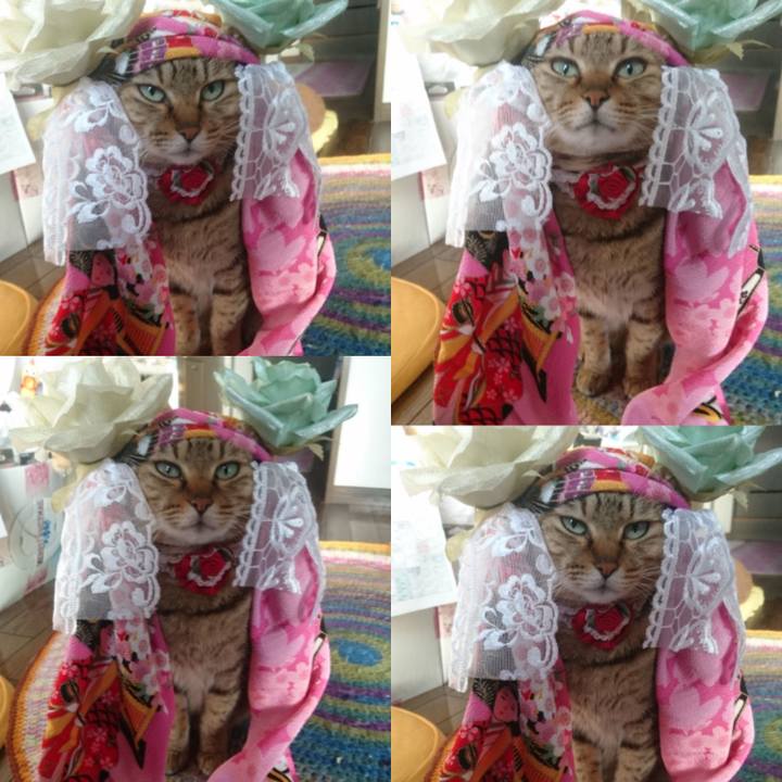 2b7d3cdd 77fa 48aa b481 fb2594aa8e40 1772489220384