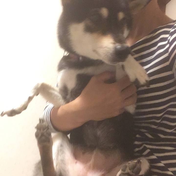 2b7de846 d1ed 4930 8f75 eae1c70c826a 1568981046387