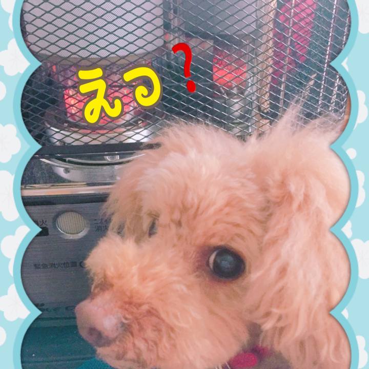 2b7e154f 0760 4e88 b3c6 cec45c2f801e 1515547828861