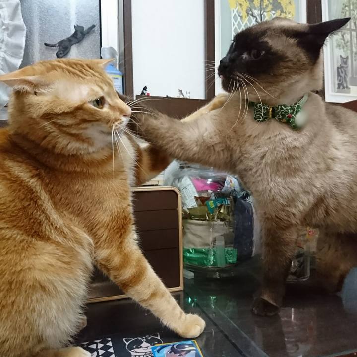 2b7e88a3 0bff 4bbf b21a 88b41490d036 1516522741586