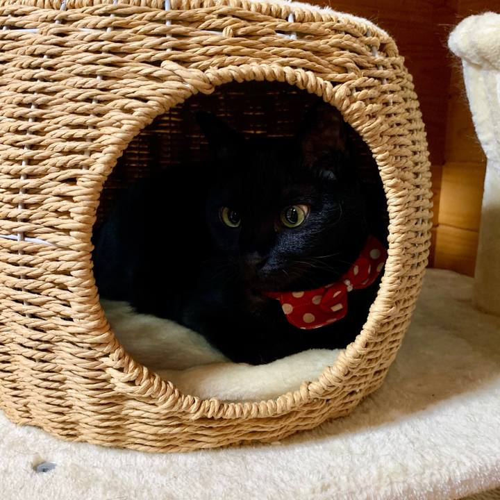 2b7ed01d d85a 4c51 a505 0a8edecddf70 1611452618687