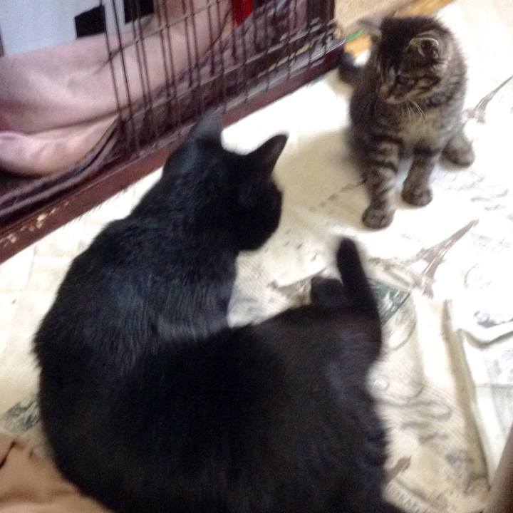 2b7eddc5 3f70 4440 9674 6acfe0505345 1527934371584