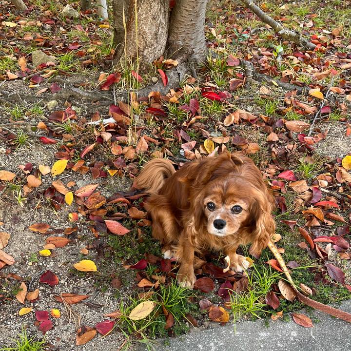 2b7eeb01 fd59 4642 b24b d86d373e5fa9 1698971414287