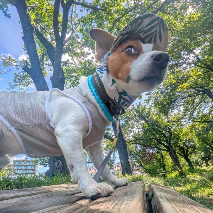 2b7f126f 51f3 42a3 b2ab 232d51ed6d05 1752890149158