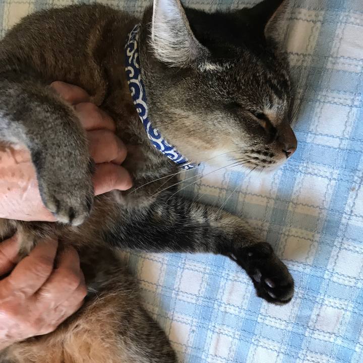 2b7f23e4 77aa 4bcc ac1d b0d002378ab6 1531008214397