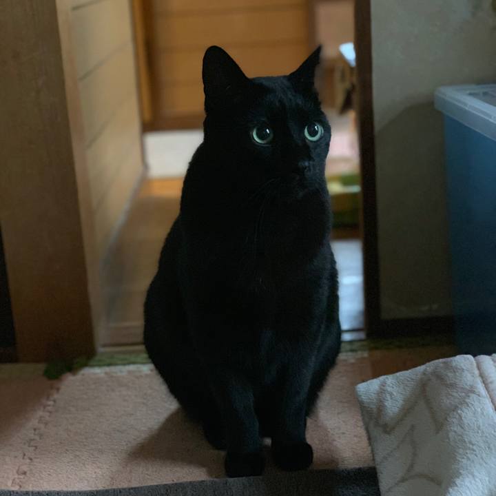 2b7f49a3 8b20 4bf4 9875 5e3883f45d06 1551316849747