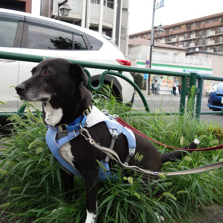 2b7f691e 1987 4eea 93f7 668872b2992b 1721263868736