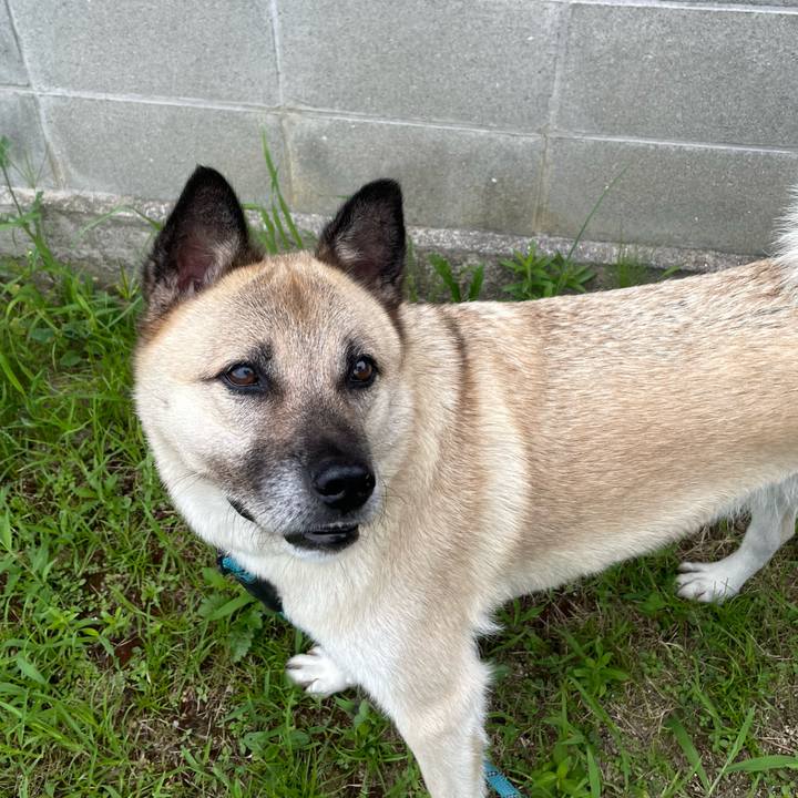 2b7f8d52 cd2f 46df b634 4f3ca96f6dd0 1690202384903