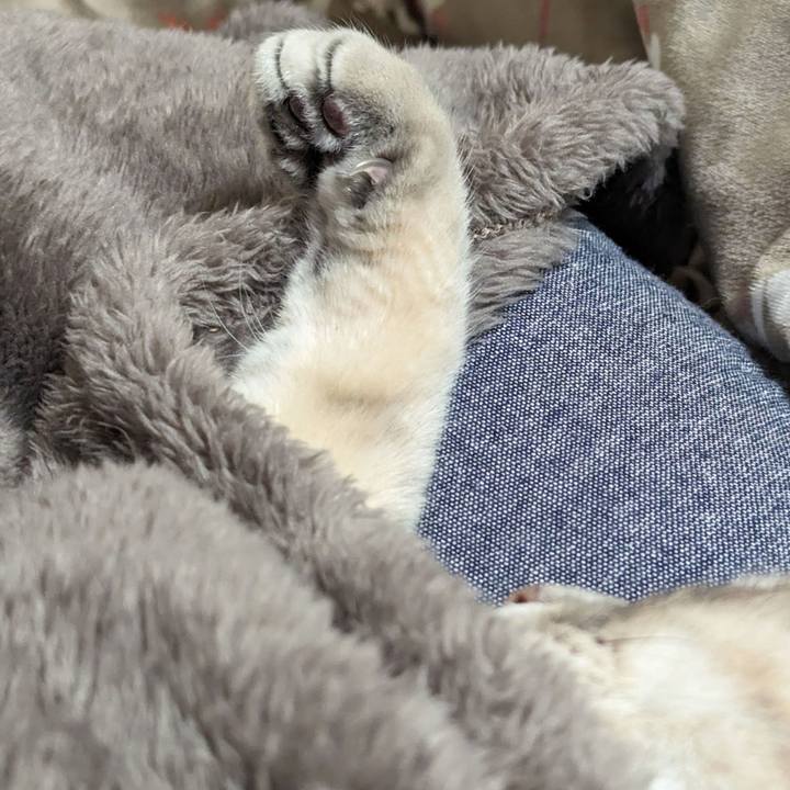 2b7fb6ac a46b 4e2d b520 18c2d16cf423 1708054439599