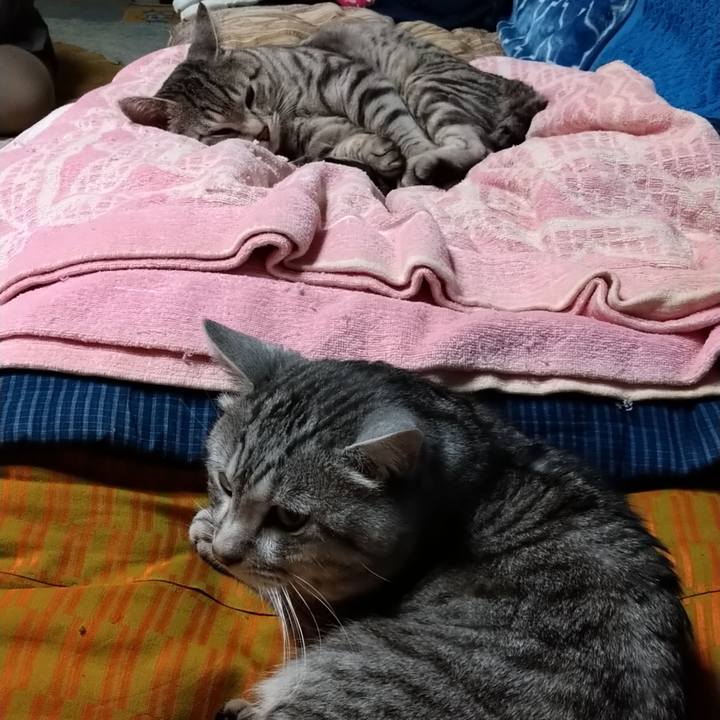 2b800154 068e 4716 a413 fc27fd030abd 1674377604037