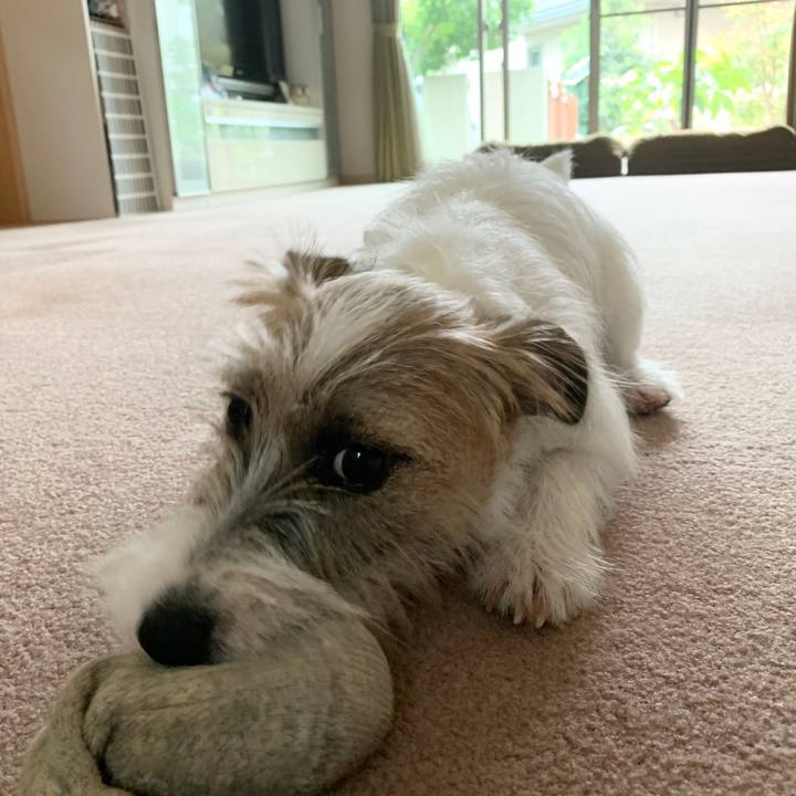 2b801a4e 0081 4cd6 bb85 a1595d976c6f 1571283602440