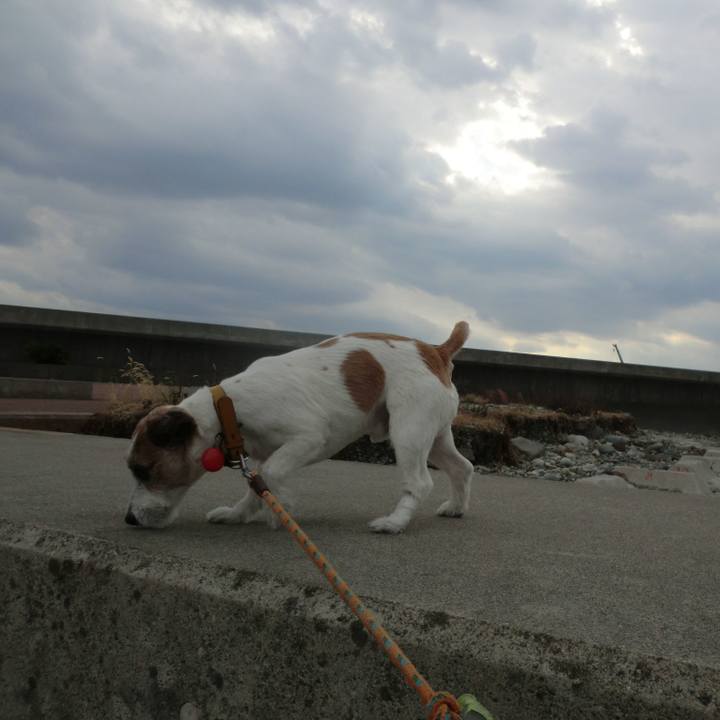 2b805b78 c4c2 4119 a823 966c0f64cf4d 1513436124779