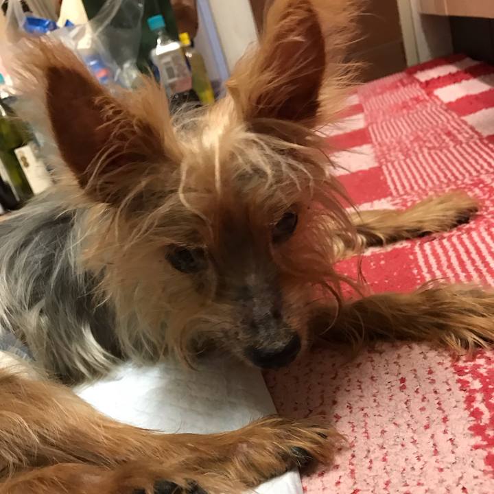 2b807549 af6b 45c4 83de bc9fc56c0fc1 1538959112517