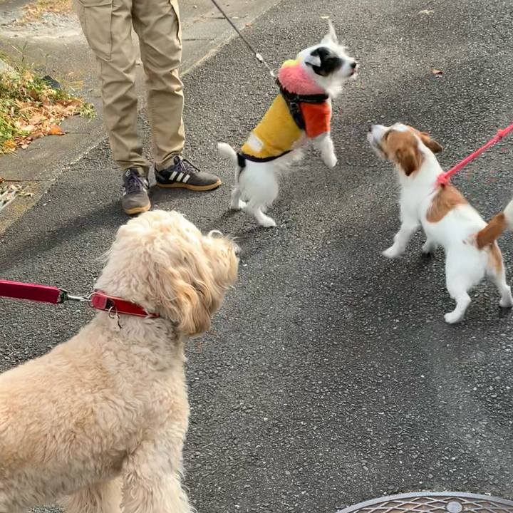 2b80c755 ec15 47d5 a3e9 901a7282fc42 1735521753829