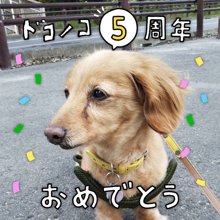 2b80d878 83ef 4d14 9f95 c079d62707d0 1622891822323