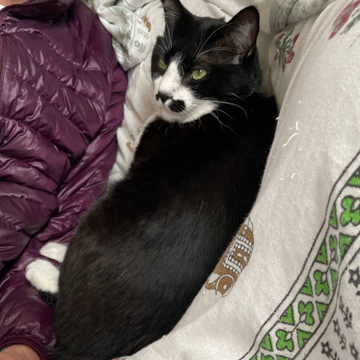 2b80d923 a659 43d3 8608 0fc698eaf283 1707702677778