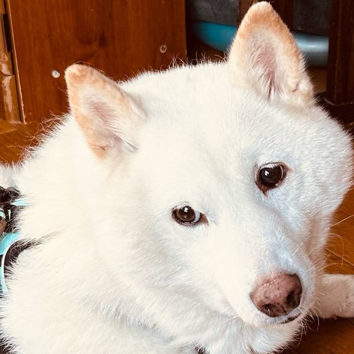 2b80e38a c8a2 497b a90f 317213f06750 1740717107864