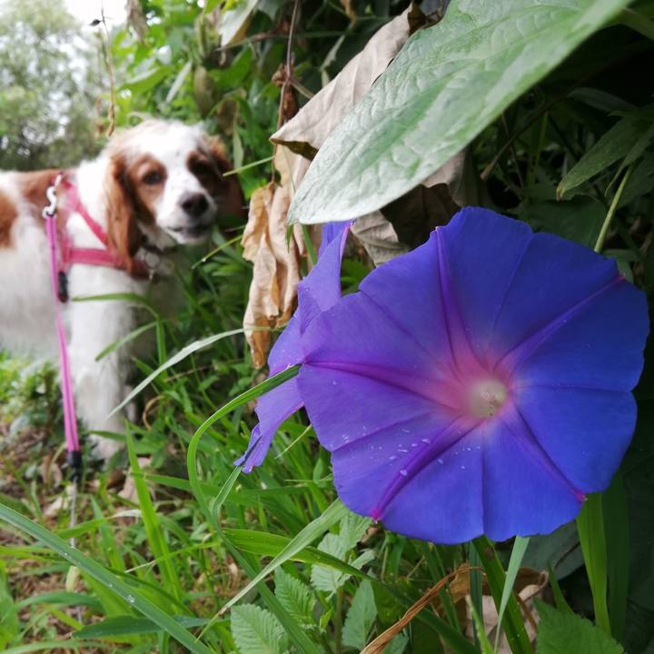 2b80e4a3 19ea 4cd2 8846 60f22d339b5b 1595547963943