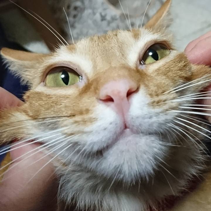 2b81334a 00f1 4324 bd84 da9be711bcc4 1511100458221