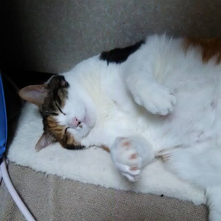 2b817e7f 287c 4532 a719 98dce8955f79 1547809472915