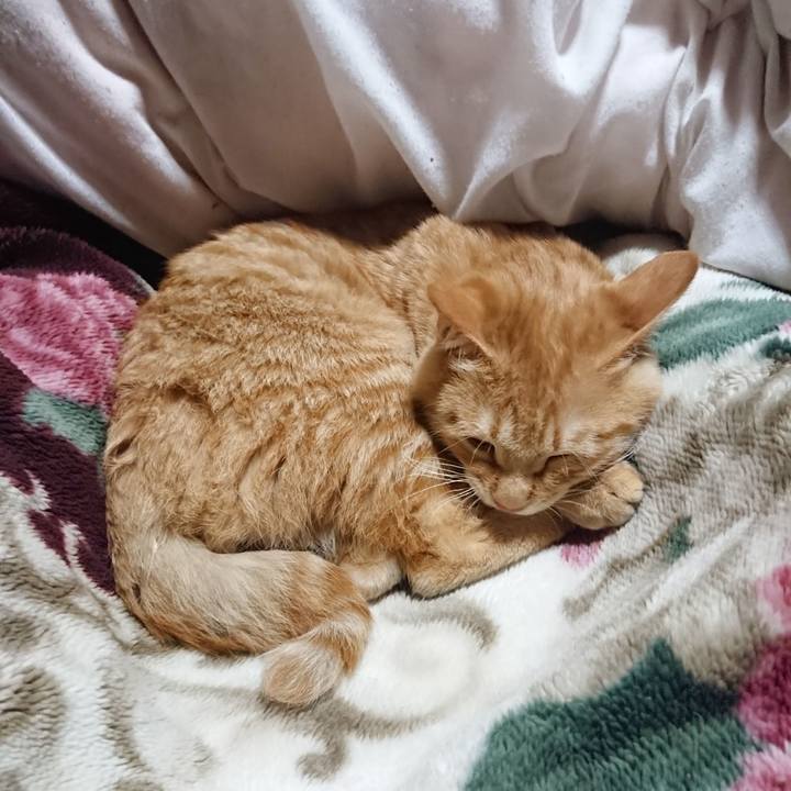 2b818246 e40a 487b a27c 702261de9e41 1636373423557