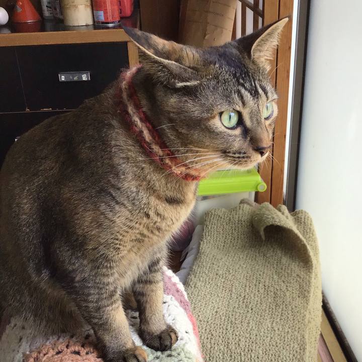 2b818439 a6bb 4461 aca9 ad32655b0529 1632476705019